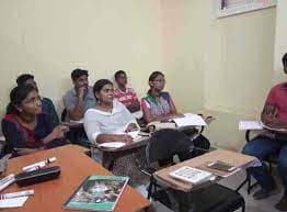 English Labs English Labs photo 1